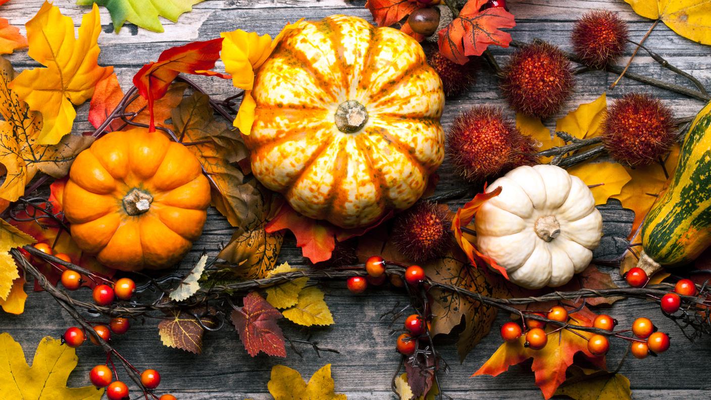 iStock-Zucca, Flora, Halloween, Verdura, Cornucopia