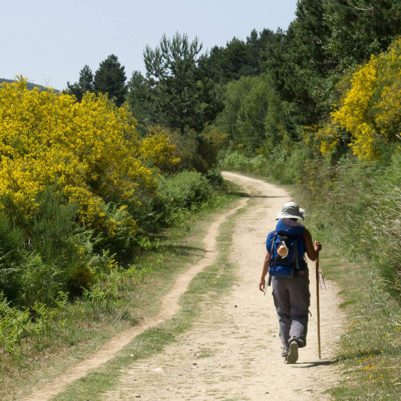 iStock-Camminare, Escursionismo, Spagna, Galizia, Santiago de Compostela