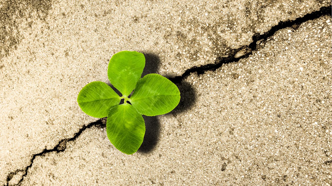 iStock-Germania, Quadrifoglio - Simbolo concettuale, Trifoglio, Crescita, Asfalto