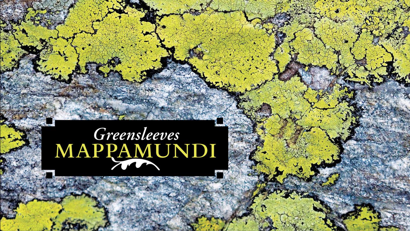 "Mappamundi" di Greensleeves, Autoproduzione (dettaglio di copertina)