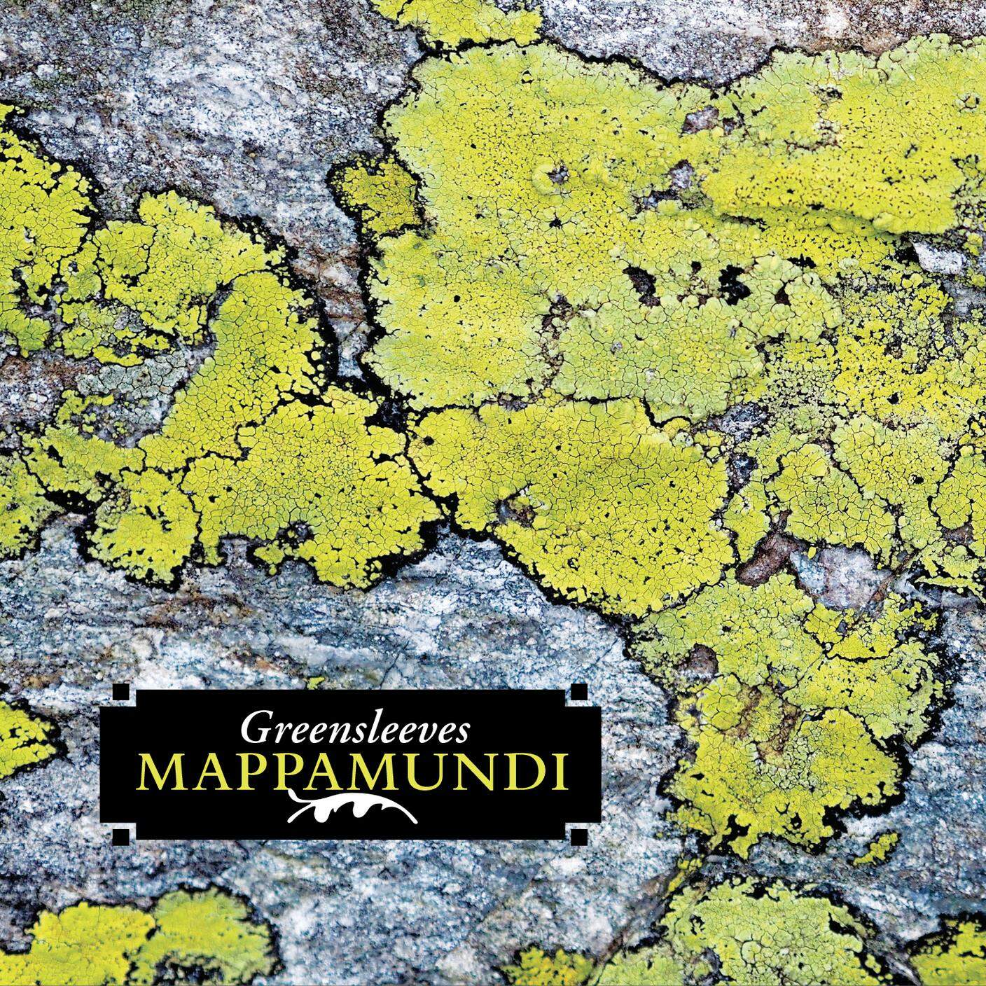 "Mappamundi" di Greensleeves, Autoproduzione (dettaglio di copertina)