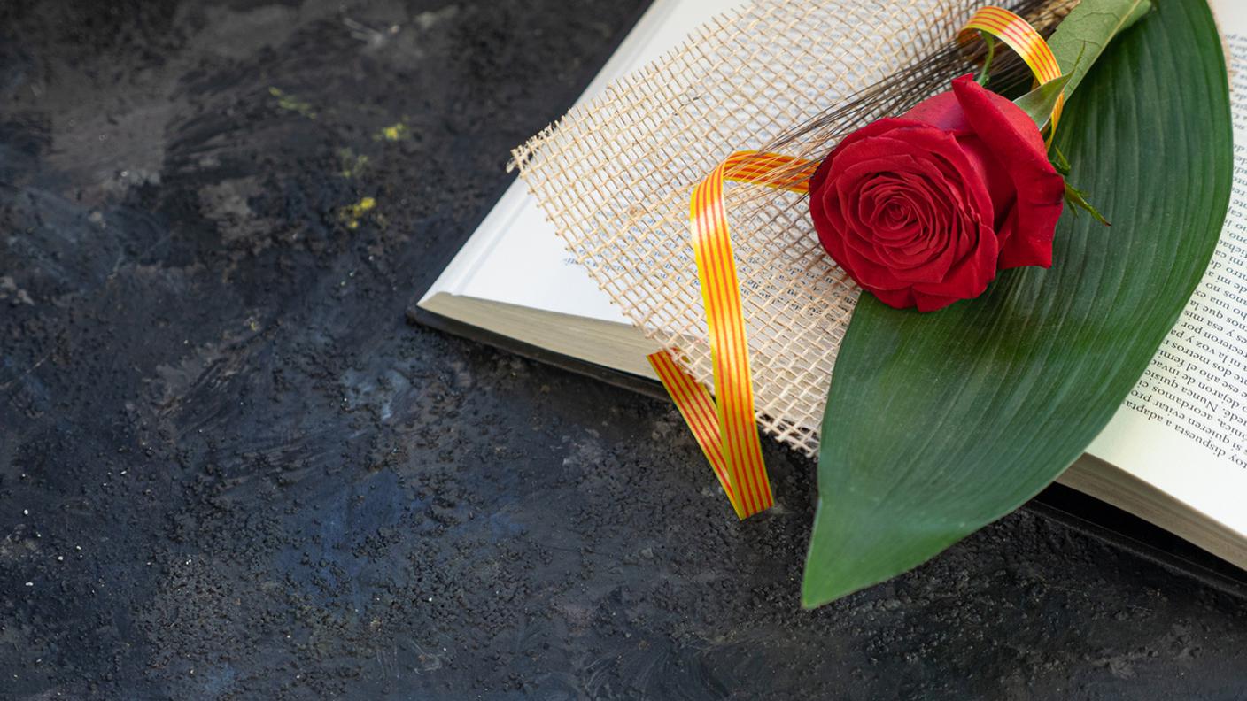 iStock-Diada de Sant Jordi