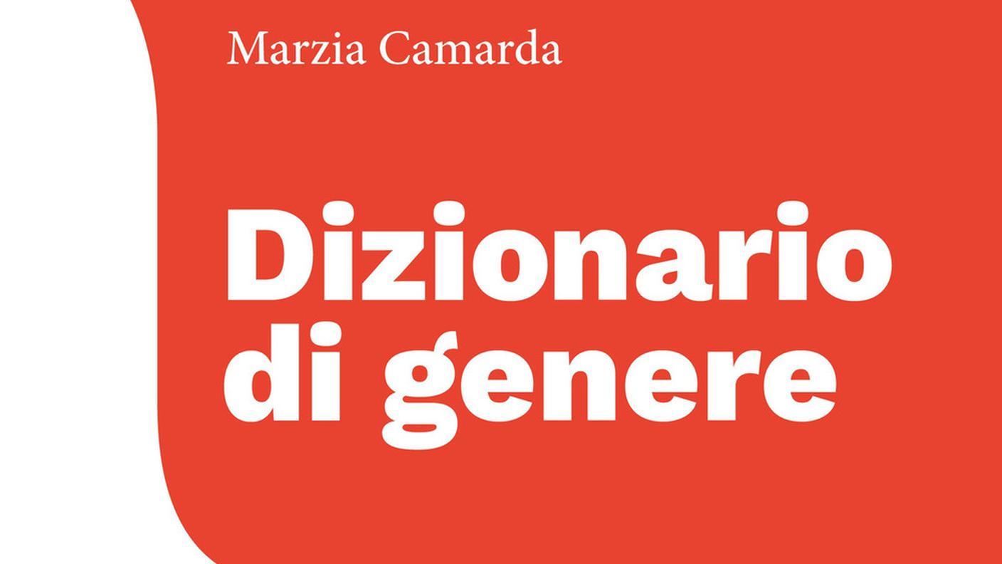 Maria Camarda, Dizionario di genere, Settenove (dettaglio copertina)