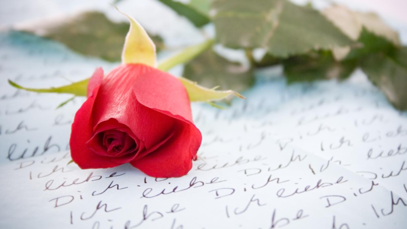 Lettera d'amore, rosa, poesia