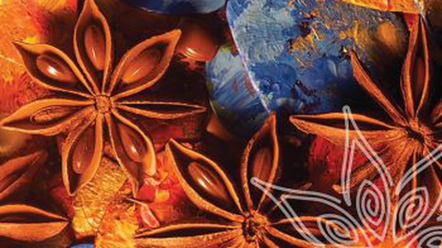  "Terra Madre" di Beppe Gambetta, Beppe Gambetta (dettaglio di copertina)