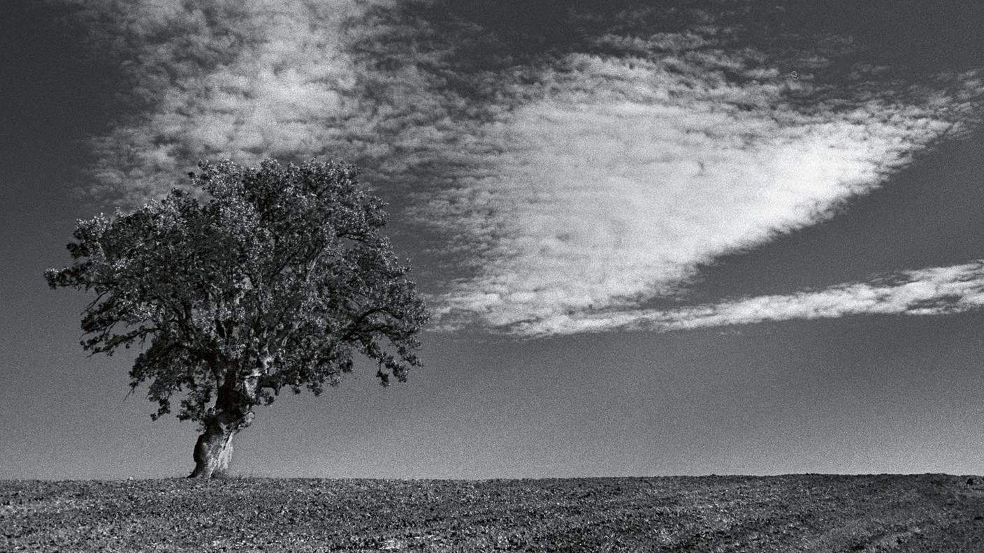 Maria Farantouri, "Beyond The Borders", ECM (dettaglio copertina)