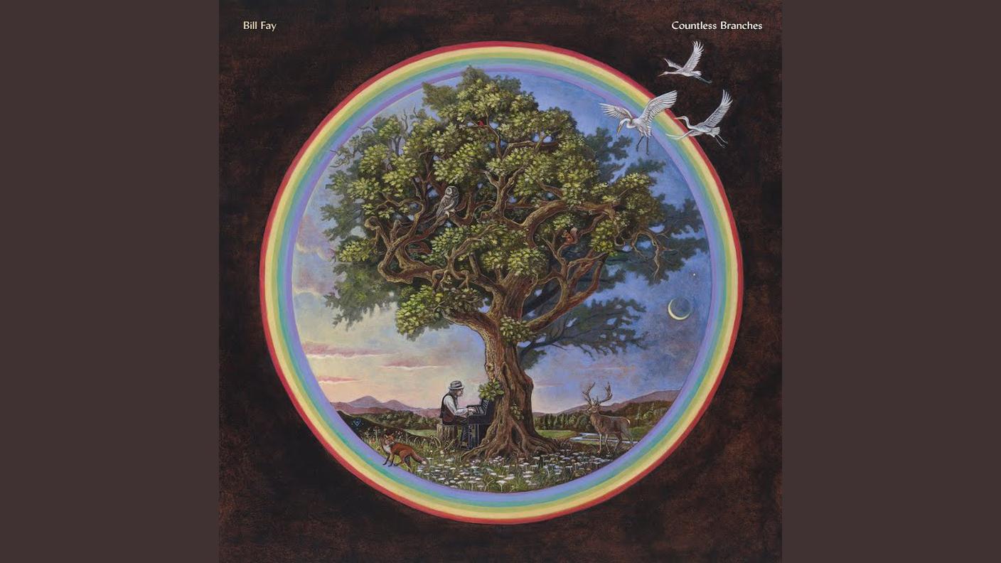 Bill Fay; "Countless Branches"; Dead Ocean (dettaglio copertina)