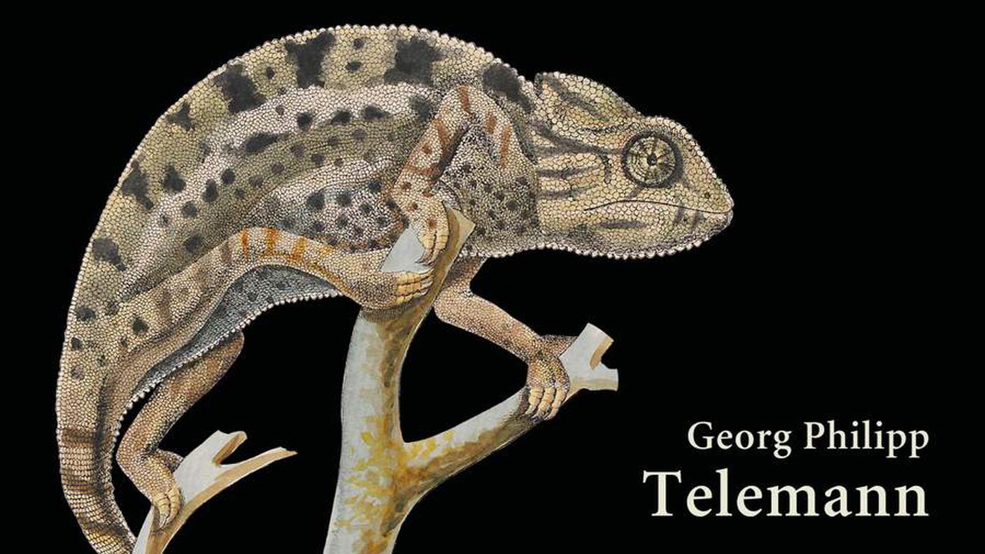 New Collegium, "Telemann. Chameleon", Ramée (dettaglio copertina)