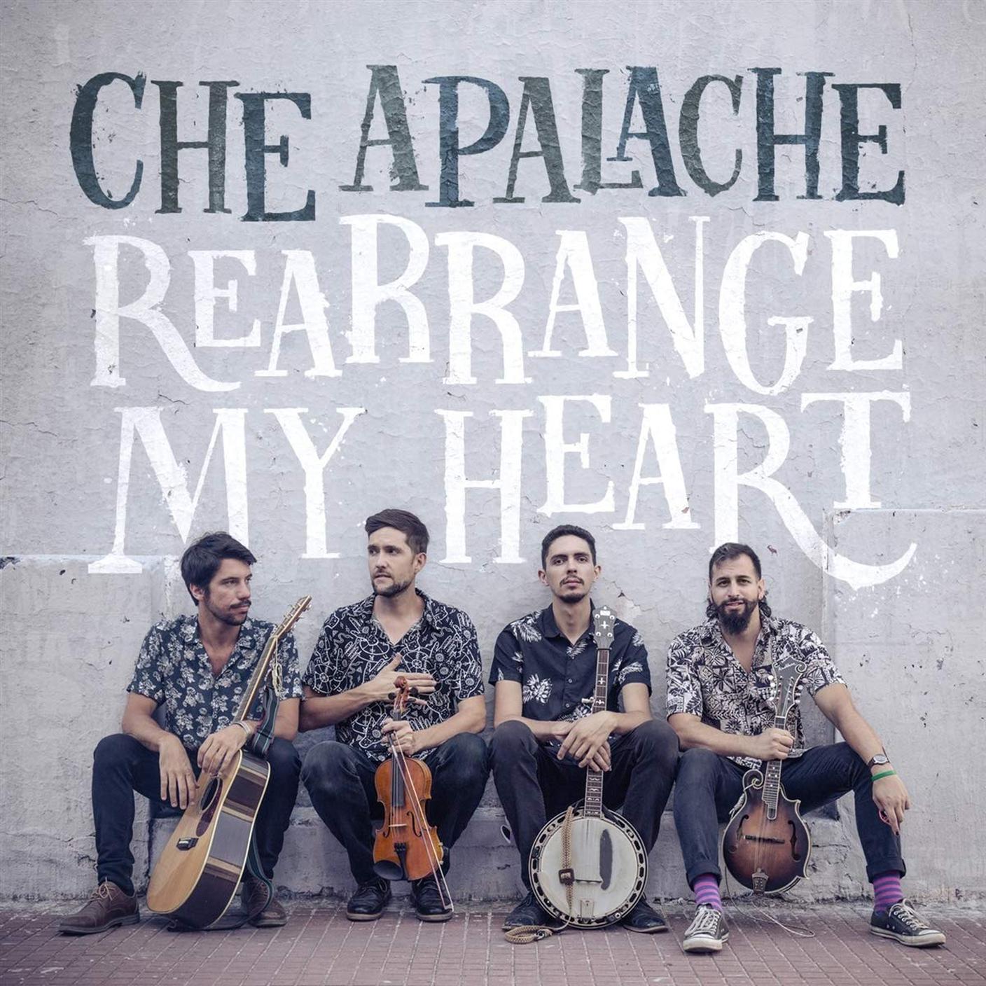 “Rearrange My Hearth” di Che Alpache; Free Dirt Records (dettaglio copertina) 