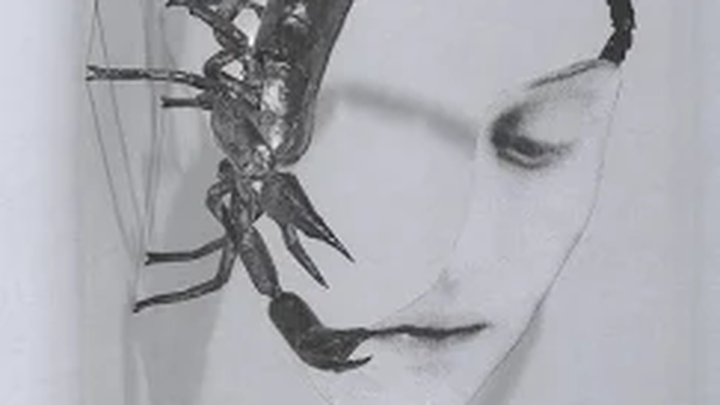 "Touch" dei Tortoise, International Anthem (dettagio di copertina)