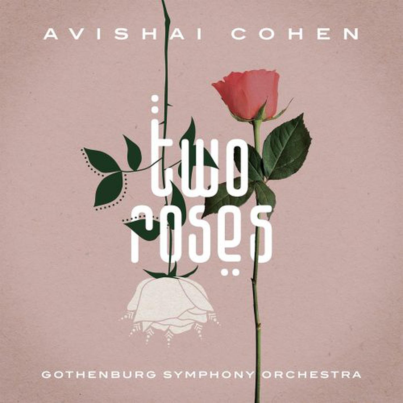 "Two roses" di Avishai Cohen; Naïve (dettaglio copertina) 