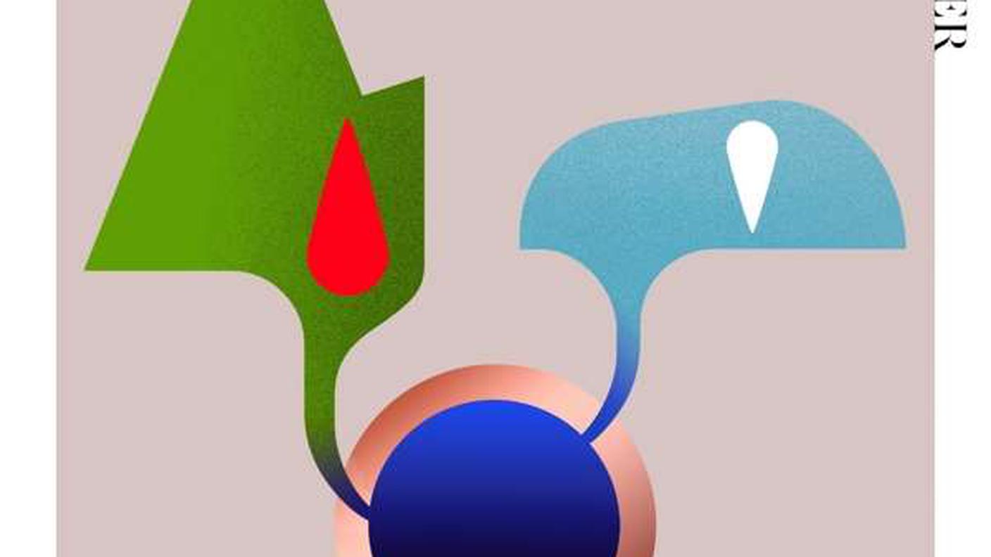 “Sulamadiana” di Mino Cinelu & Nils Petter Molværpg; Modern Recordings (dettaglio copertina) 