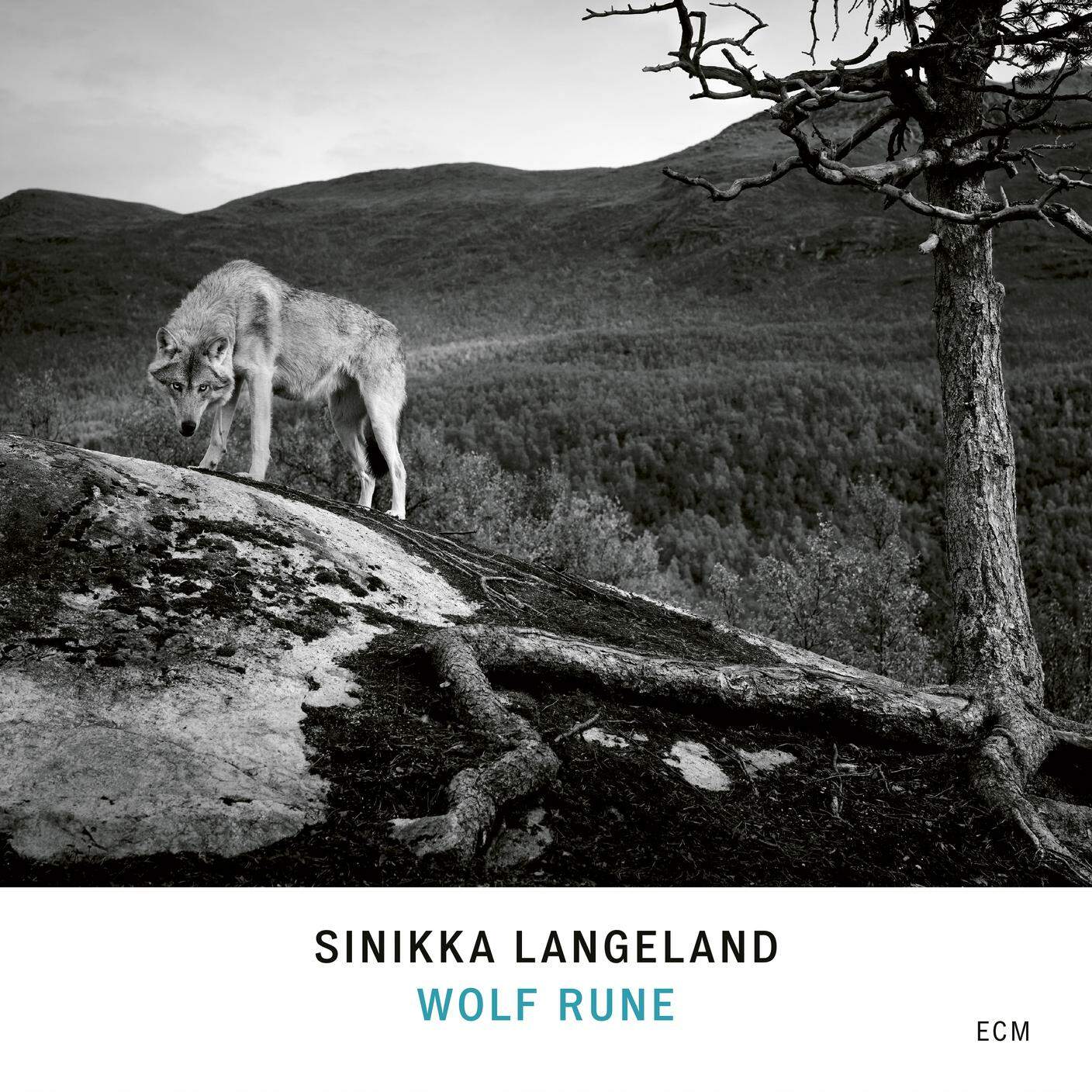 “Wolf Rune” di Sinikka Langeland, ECM (dettaglio copertina)
