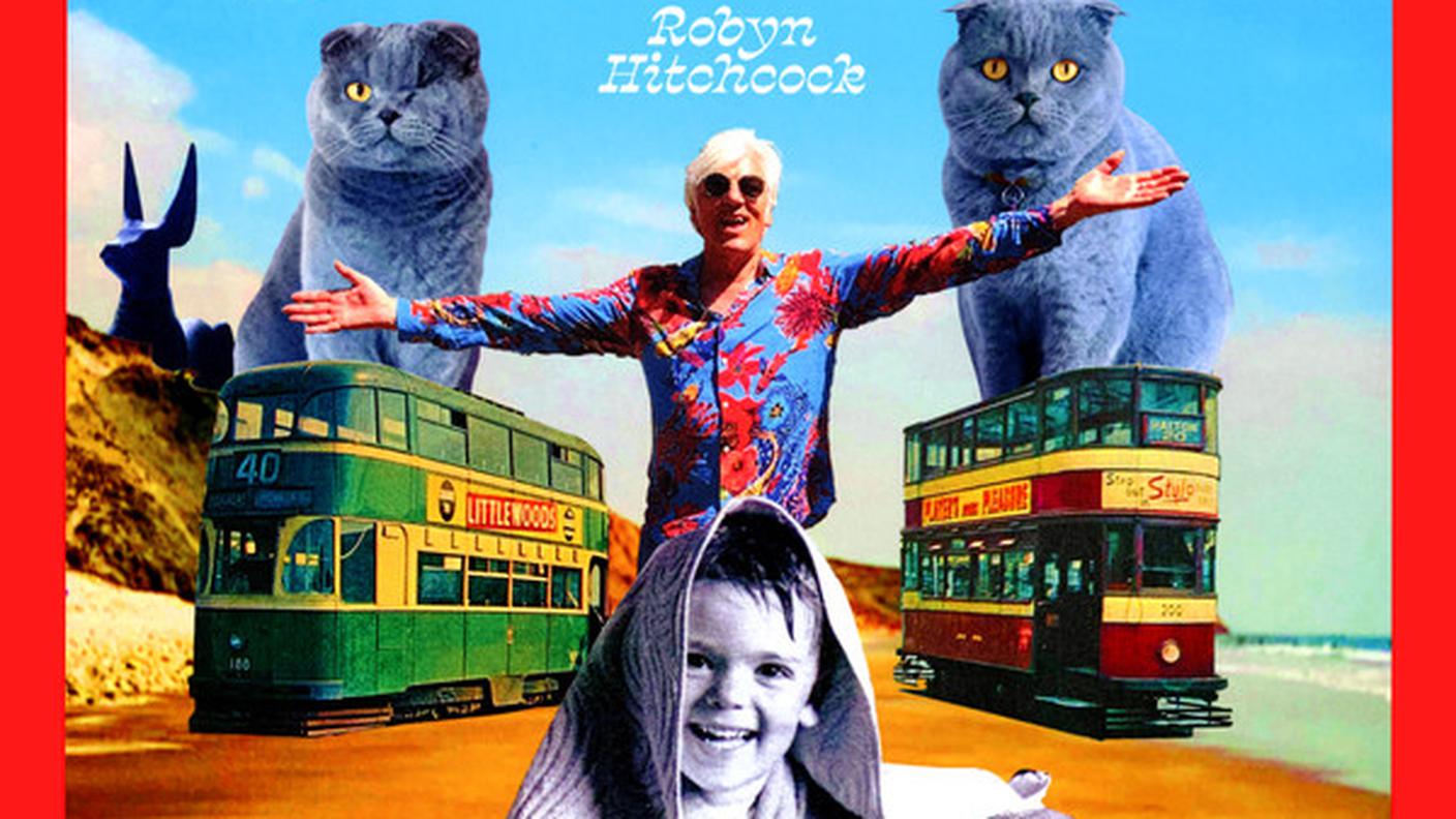 "Shufflemania!" di Robyn Hitchcock, Tiny Ghost Records (dettaglio di copertina)