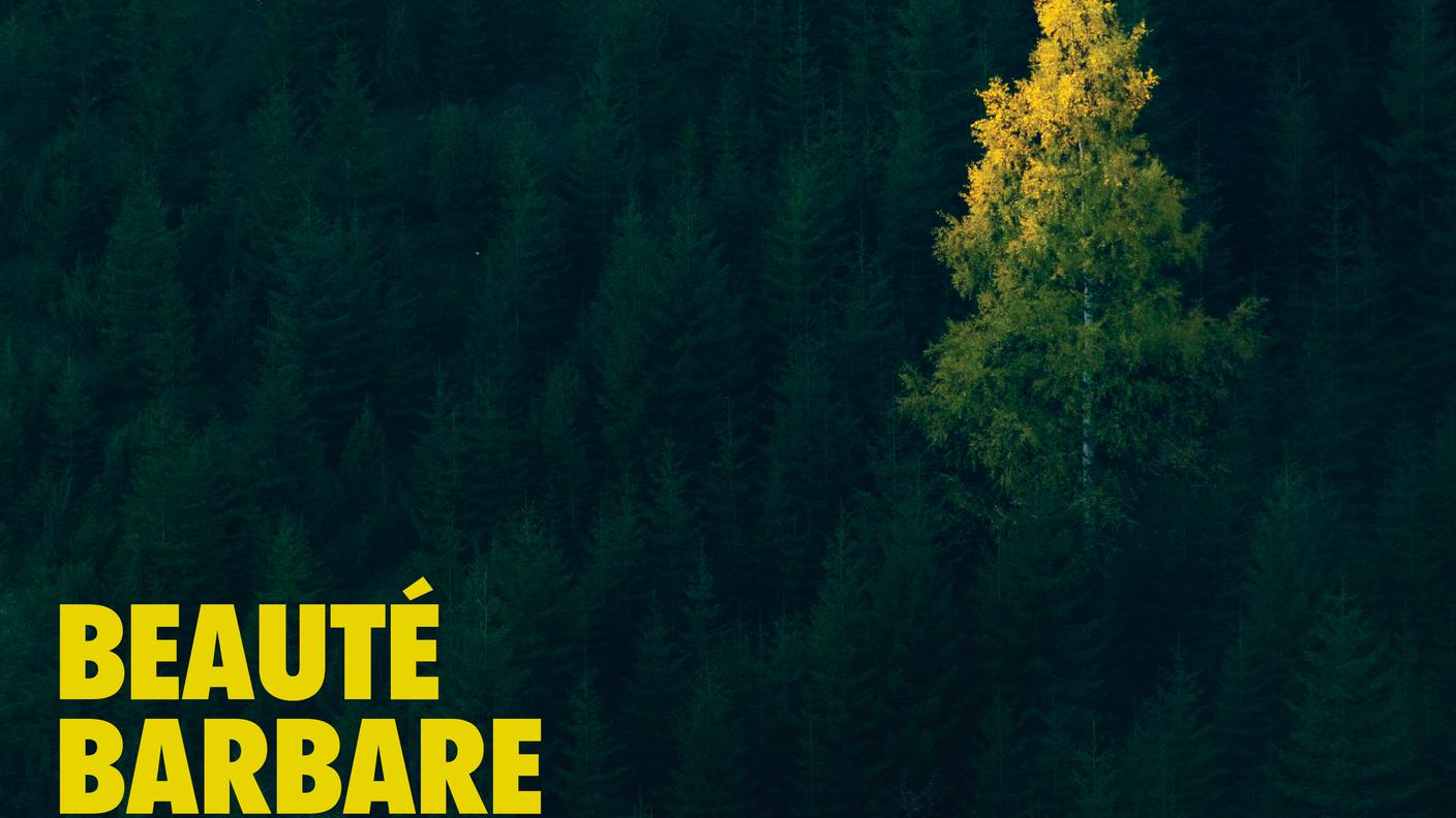 "Beauté barbare" des Musiciens de Saint-Julien, Alpha (dettaglio di copertina)