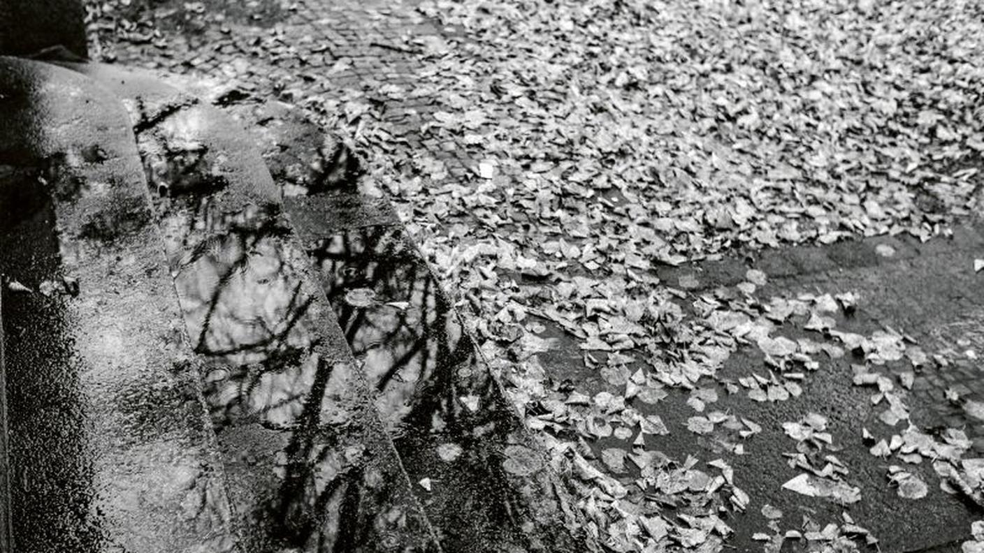 "On an Overgrown Path" di Leoš Janáček; ECM Records (dettaglio copertina) 