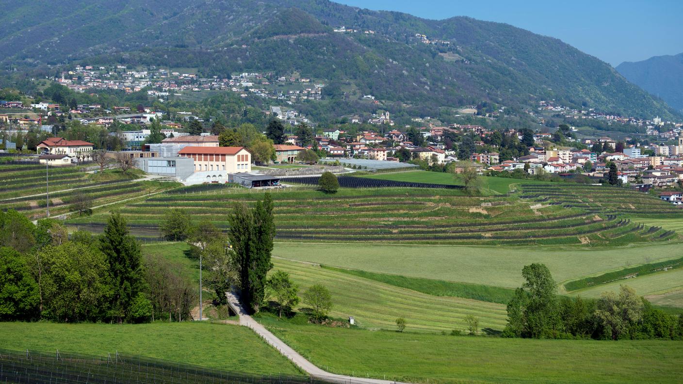 Azienda agraria cantonale di Mezzana