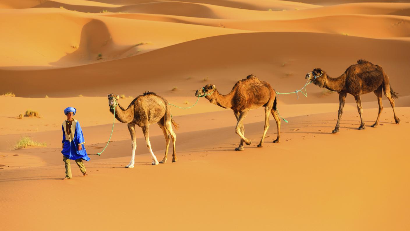 iStock_Sahara occidentale, Berbero, Colore brillante, Stereotipico, Cultura nomade