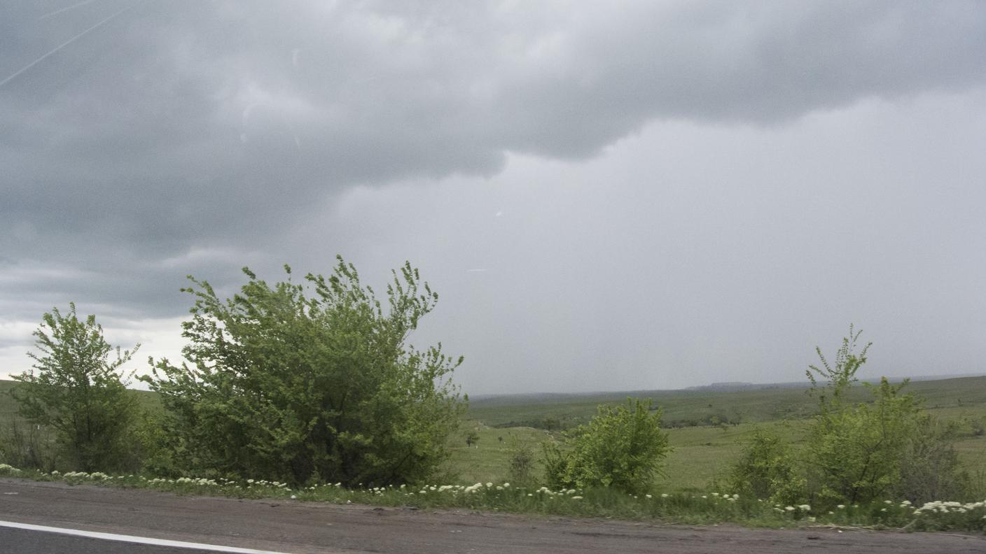 Terra di Donbass