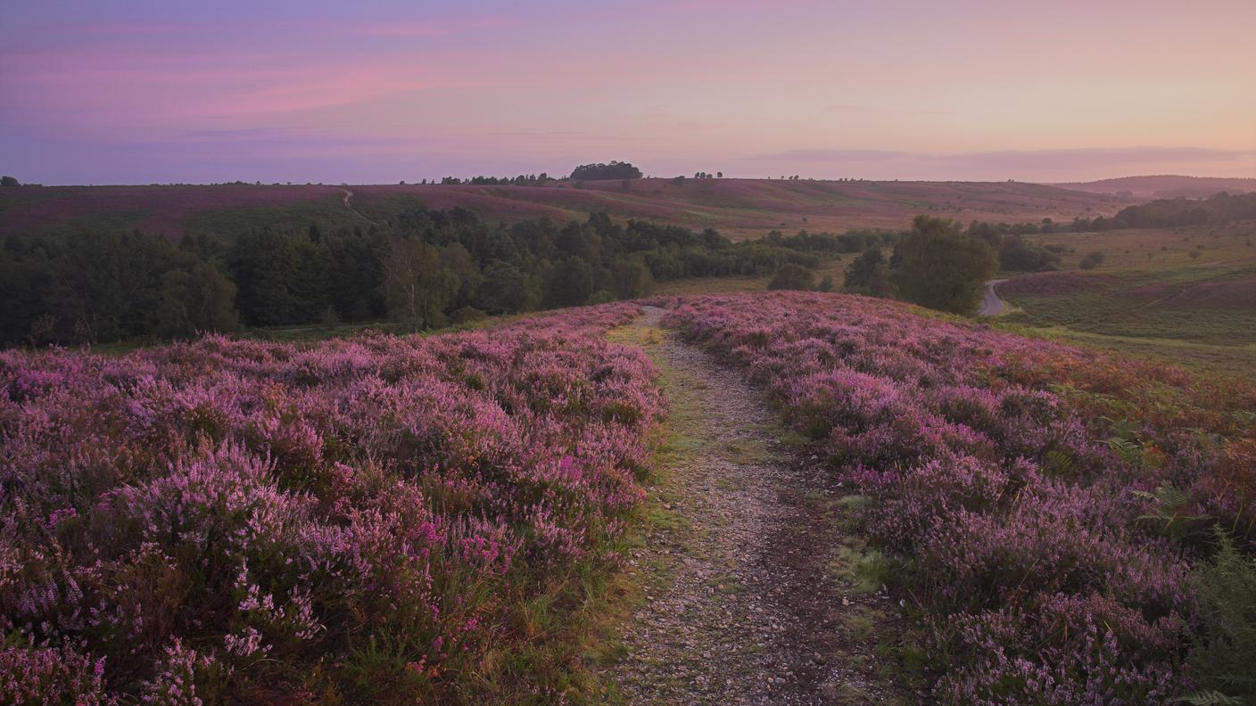 Jane Austen e l’Hampshire