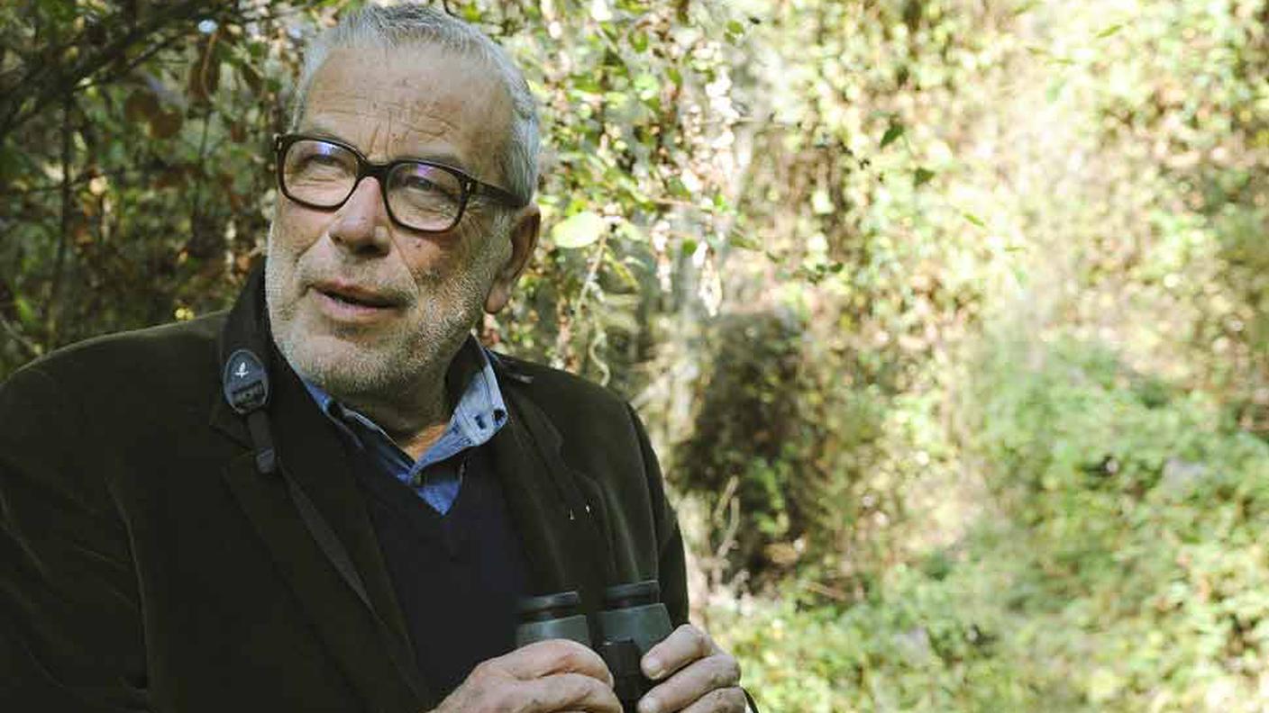 danilo-mainardi.jpg