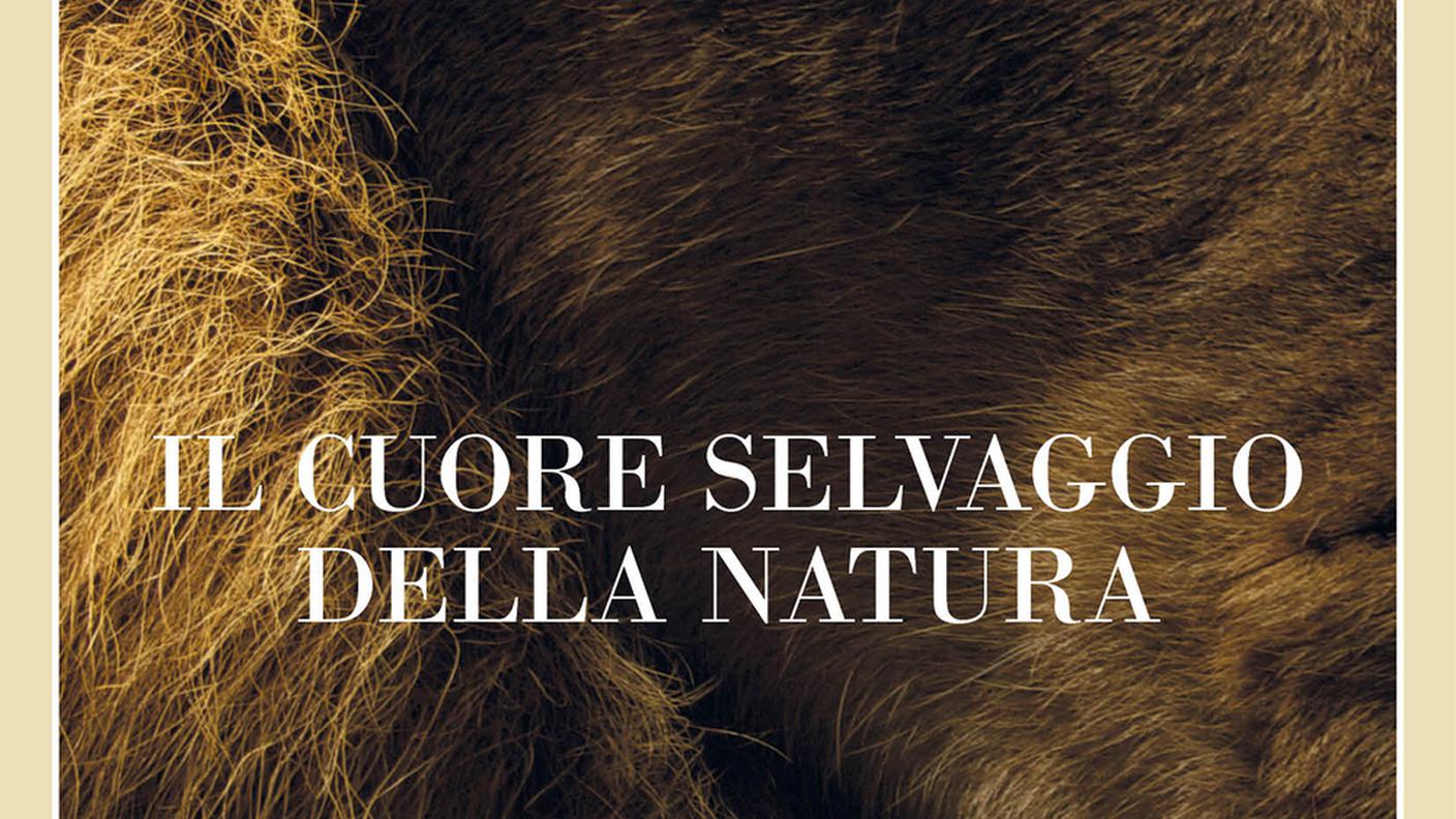 "Il cuore selvaggio della natura" di David Quammen, Adelphi (dettaglio di copertina)