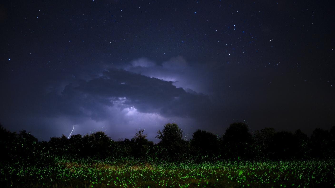 iStock-Notte, Lampo, Prateria - Campo, Temporale, Arkansas