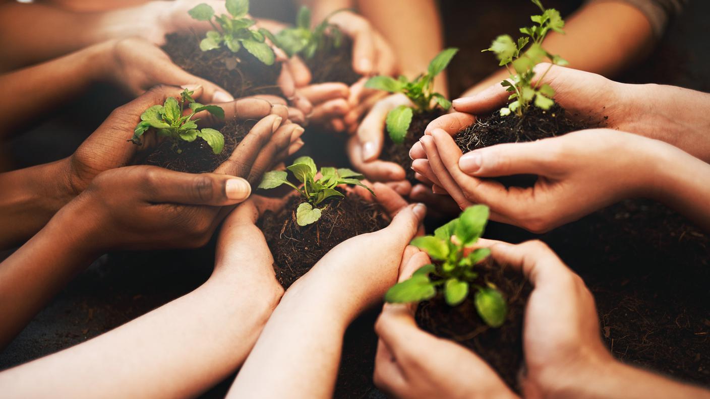 iStock-Flora, Mano, Piantina di semenzaio, Terreno, Gruppo multietnico