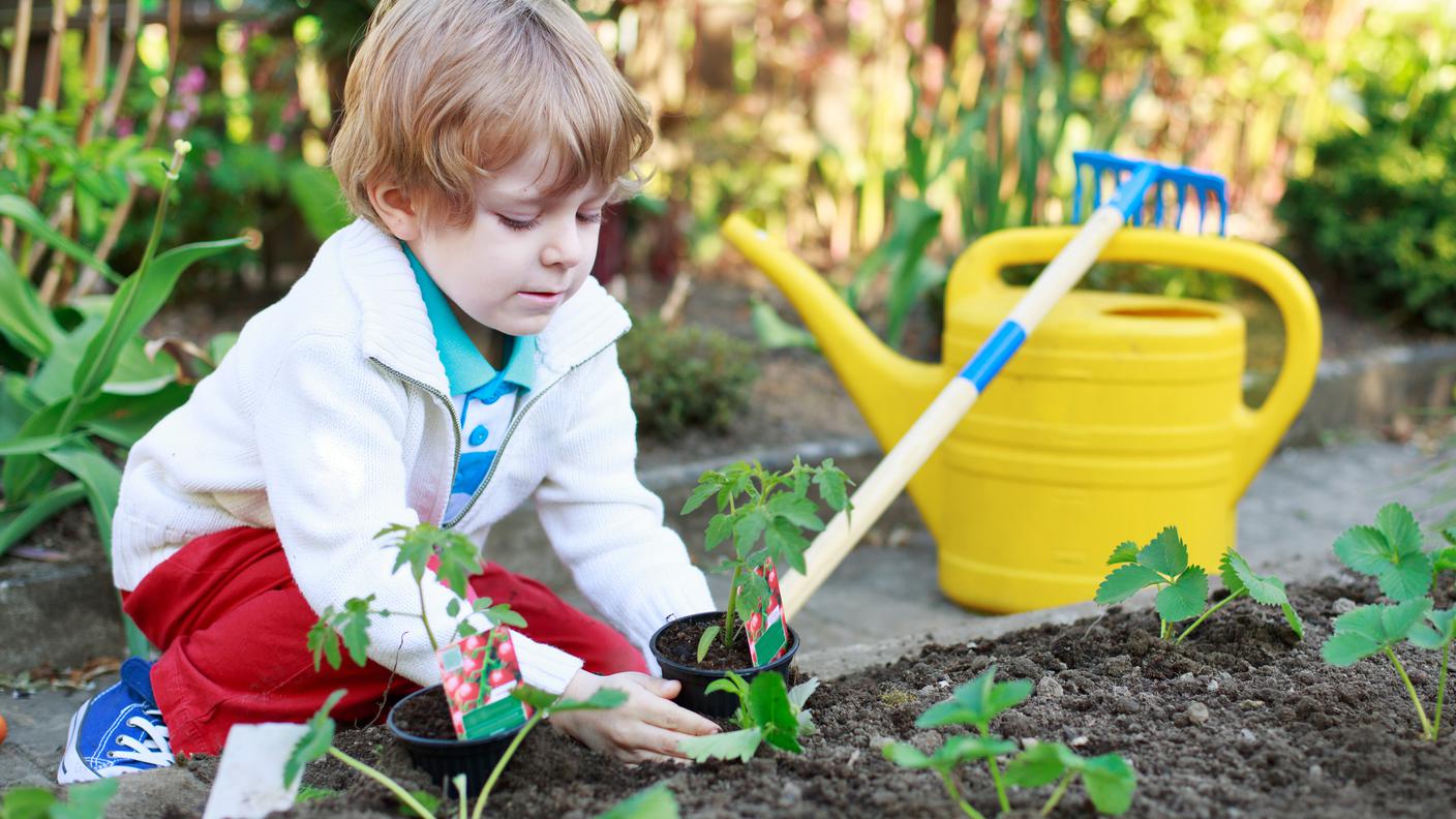 iStock-Giardinaggio Bambino