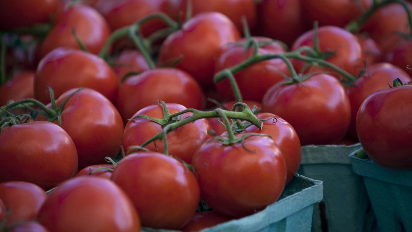 Pomodori