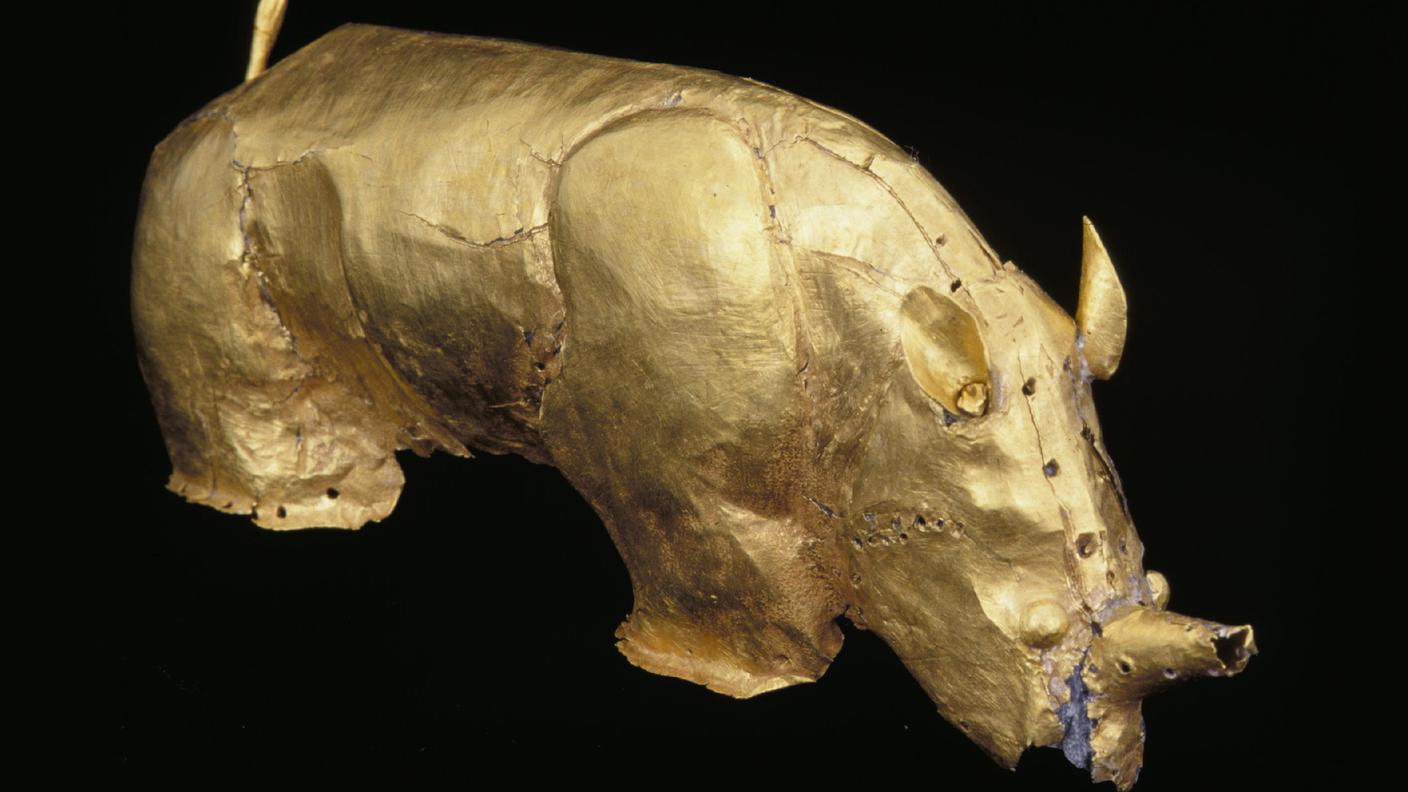 Golden rhinoceros 