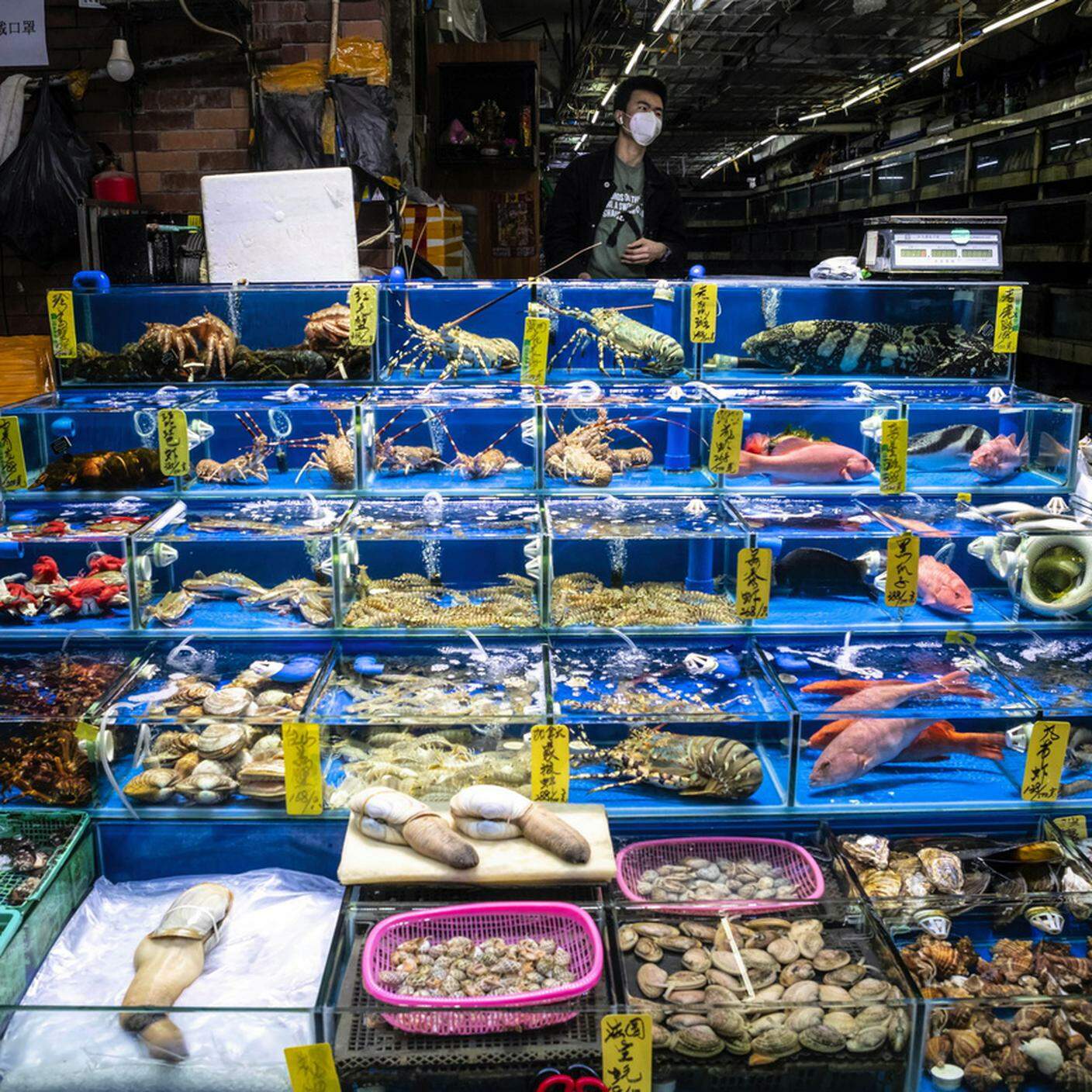Il wet market di Wuhan