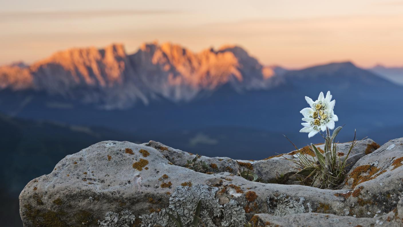 La montagna
