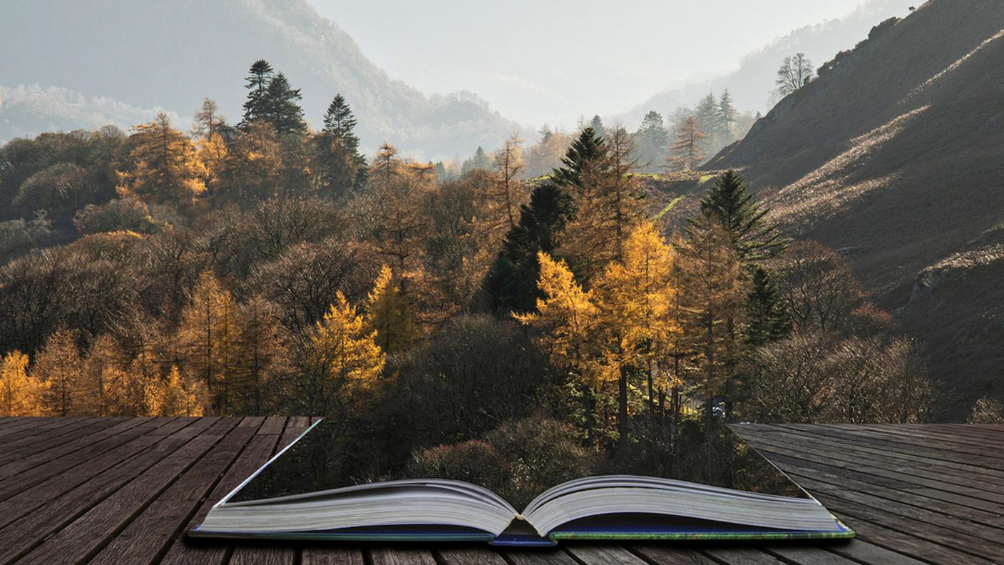 iStock-Inghilterra, Regione dei laghi - Inghilterra, Regno Unito, Narrare Storie, Libro illustrato