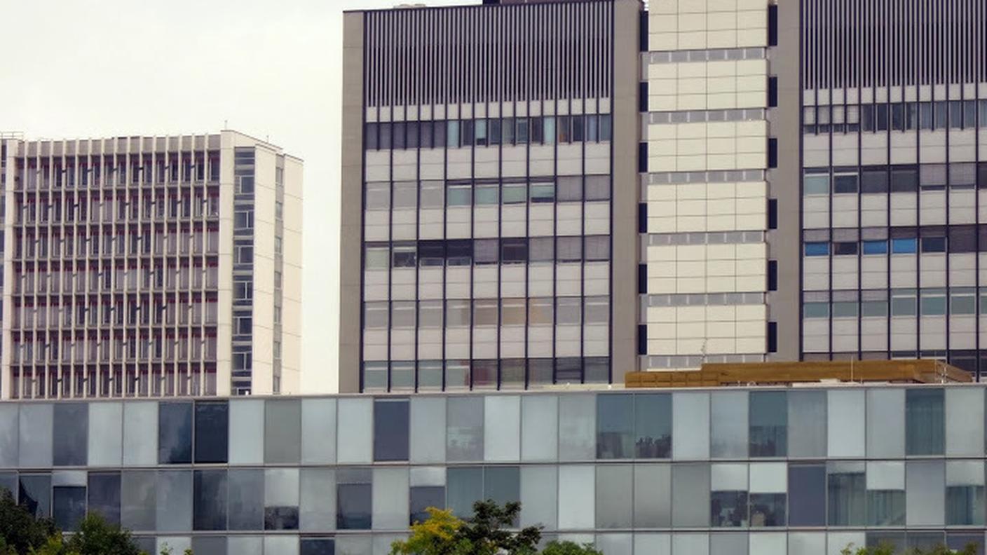 IL CAMPUS NOVARTIS VISTO DAL PONTE SUL RENO (© RSI - Sonja Riva)