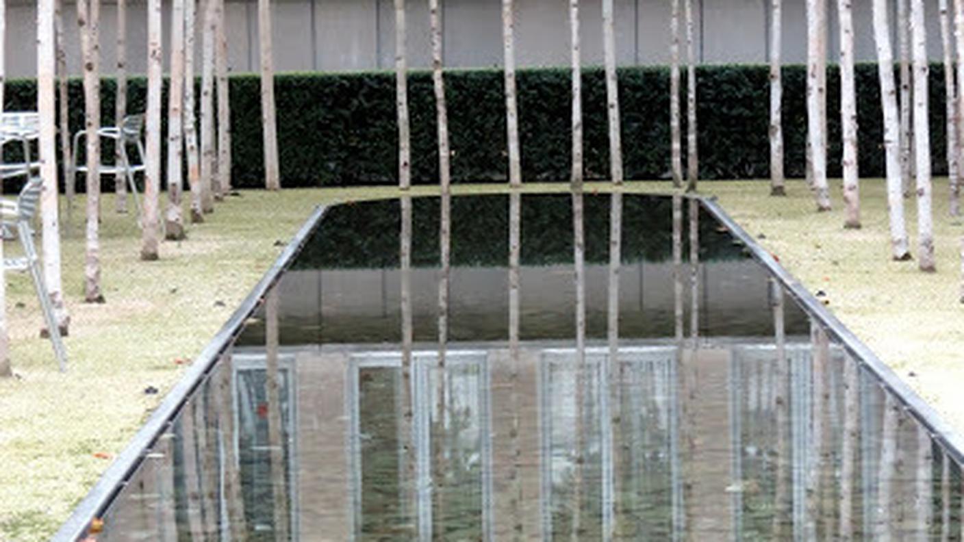 IL LAGHETTO NEL GIARDINO DELLE BETULLE AL CAMPUS NOVARTIS (© RSI - Sonja Riva)