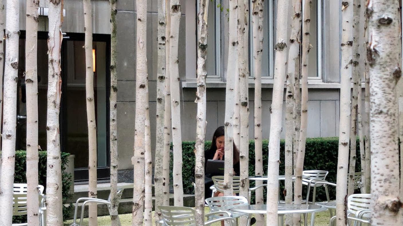 SI PUO' ANCHE LAVORARE NEL GIARDINO DELLE BETULLE (© RSI - Sonja Riva)