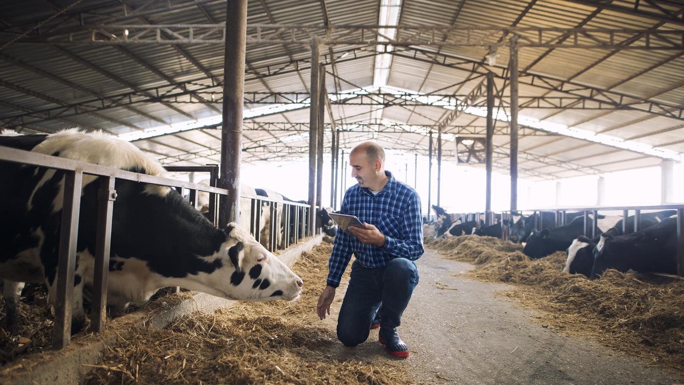 iStock-industria alimentare 