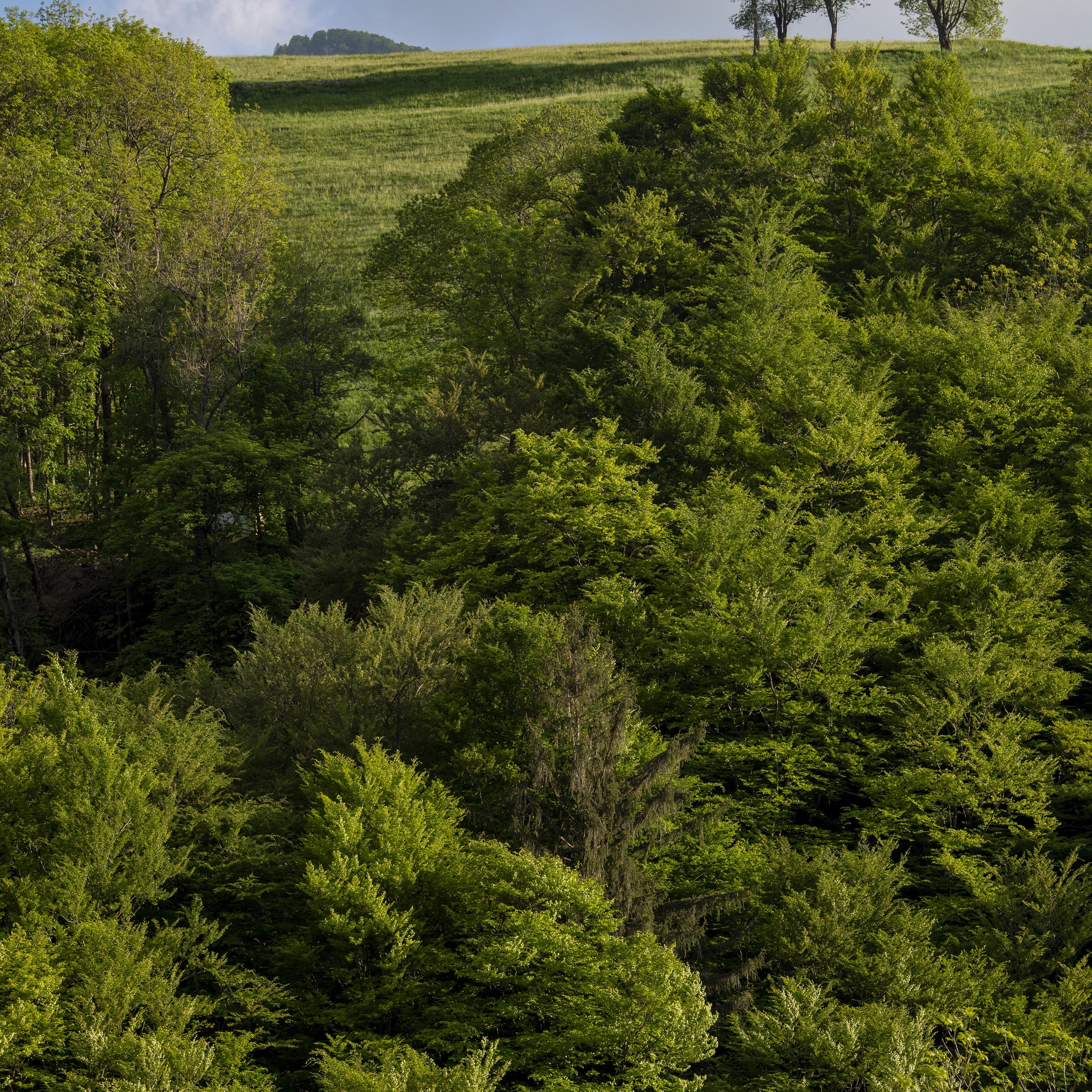 Vi invito a tornare ai vostri posti