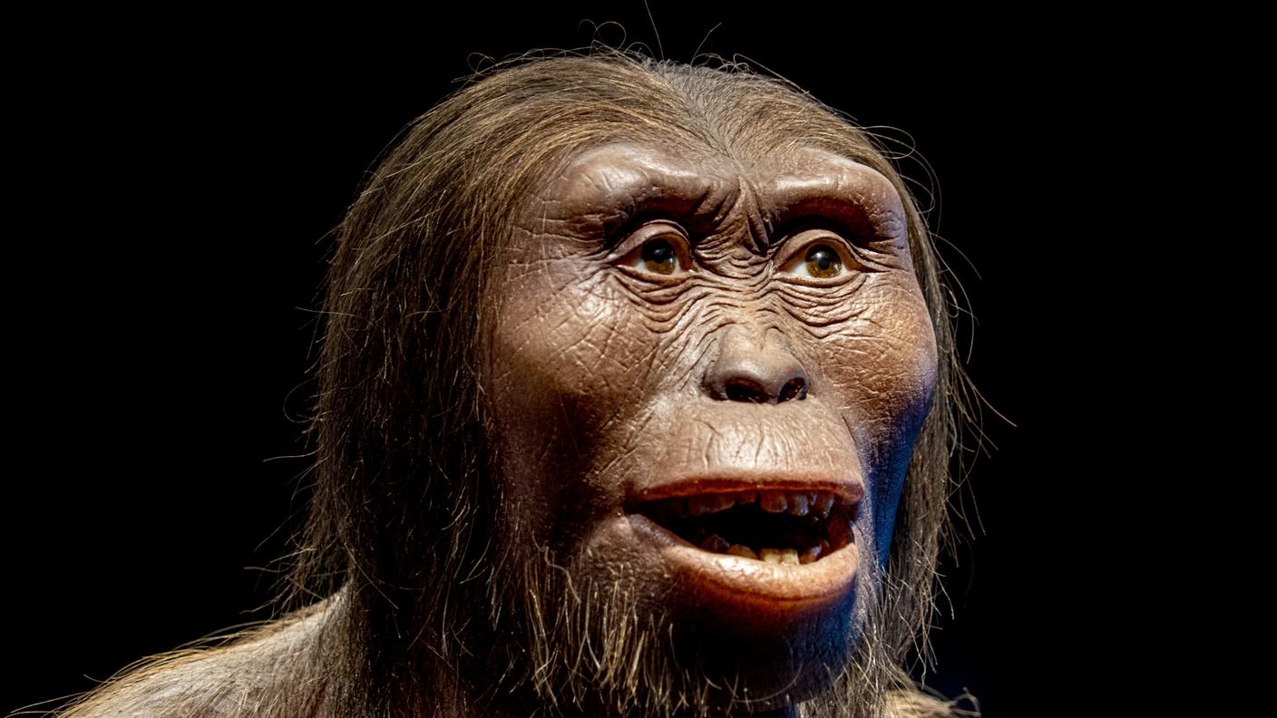 Neanderthal