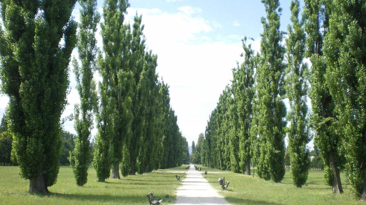 Sassuolo, il parco (foto courtesy Chiara Ronzani)