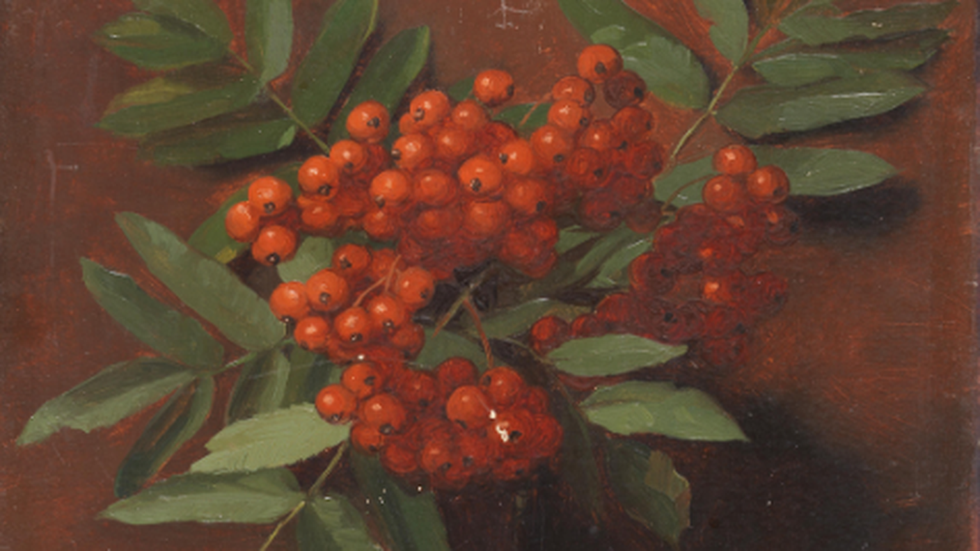 James Hayllar (1829 -1920), "Autunno, sorbo", (dal set di 12 rami dedicato alle 4 stagioni), 1873 (dettaglio copertina)