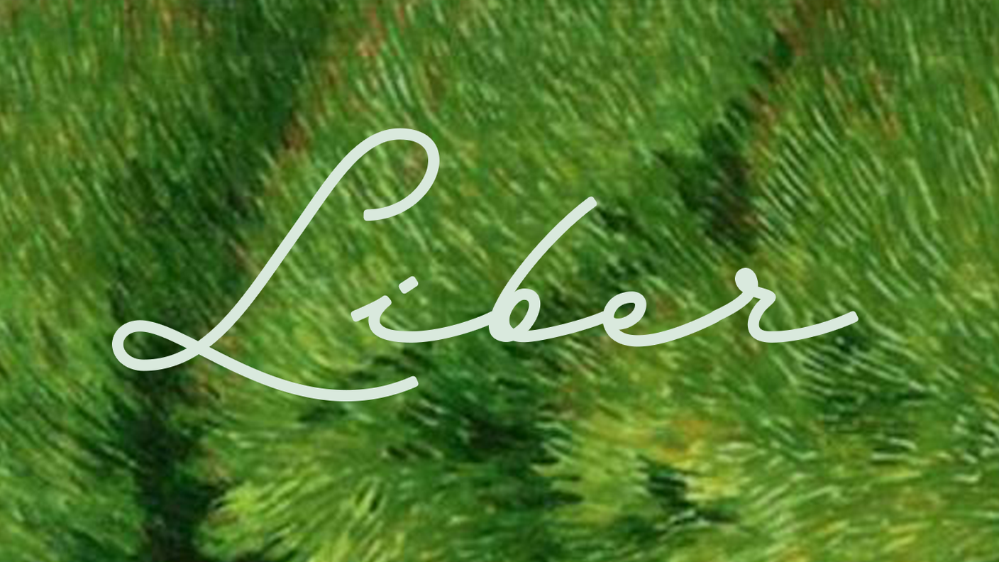audio_1x1_liber_v4.png