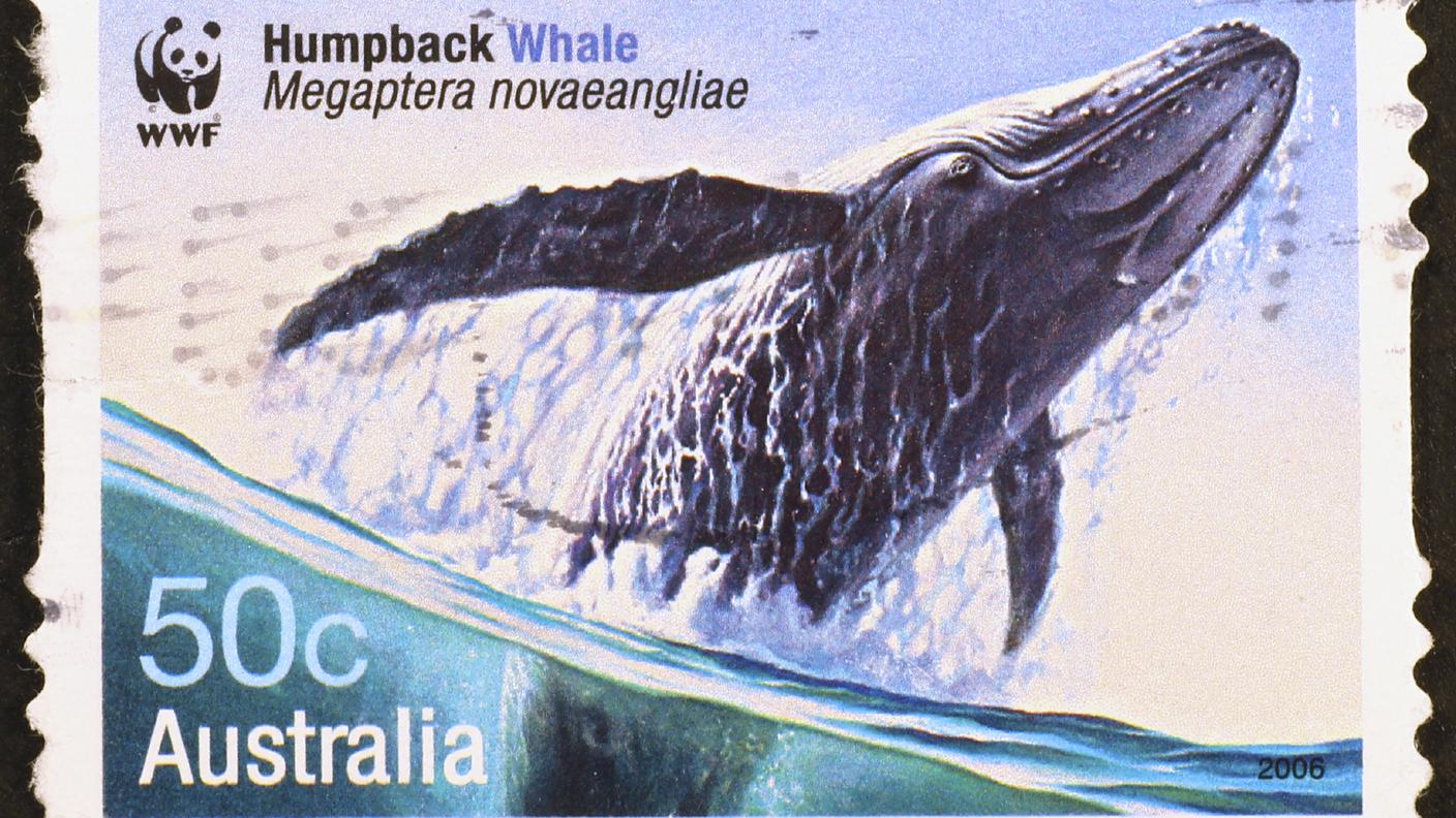 iStockMegattera, Animale selvatico, Balena, Francobollo postale, Australia