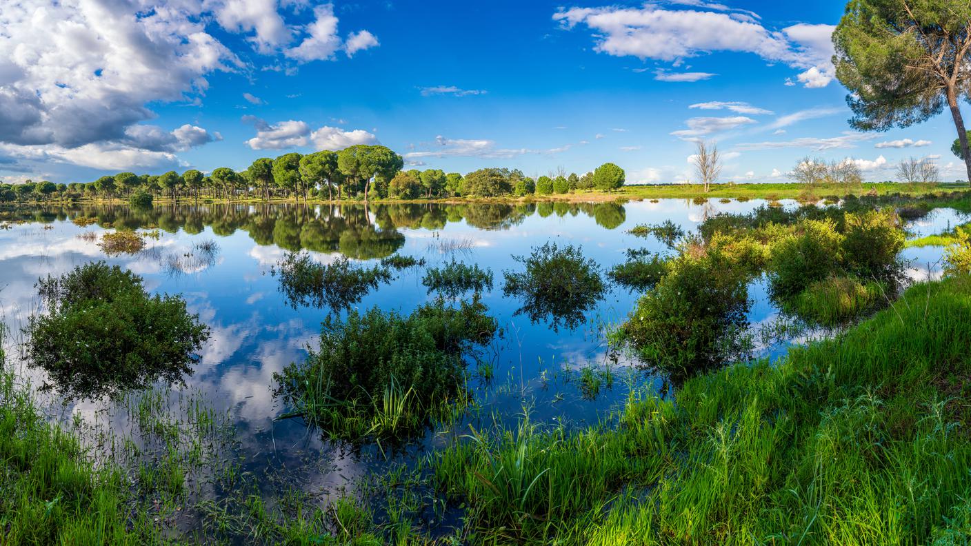 Biodiversità