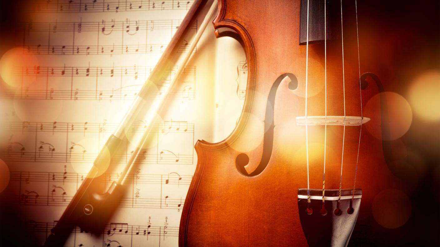 violino musica 