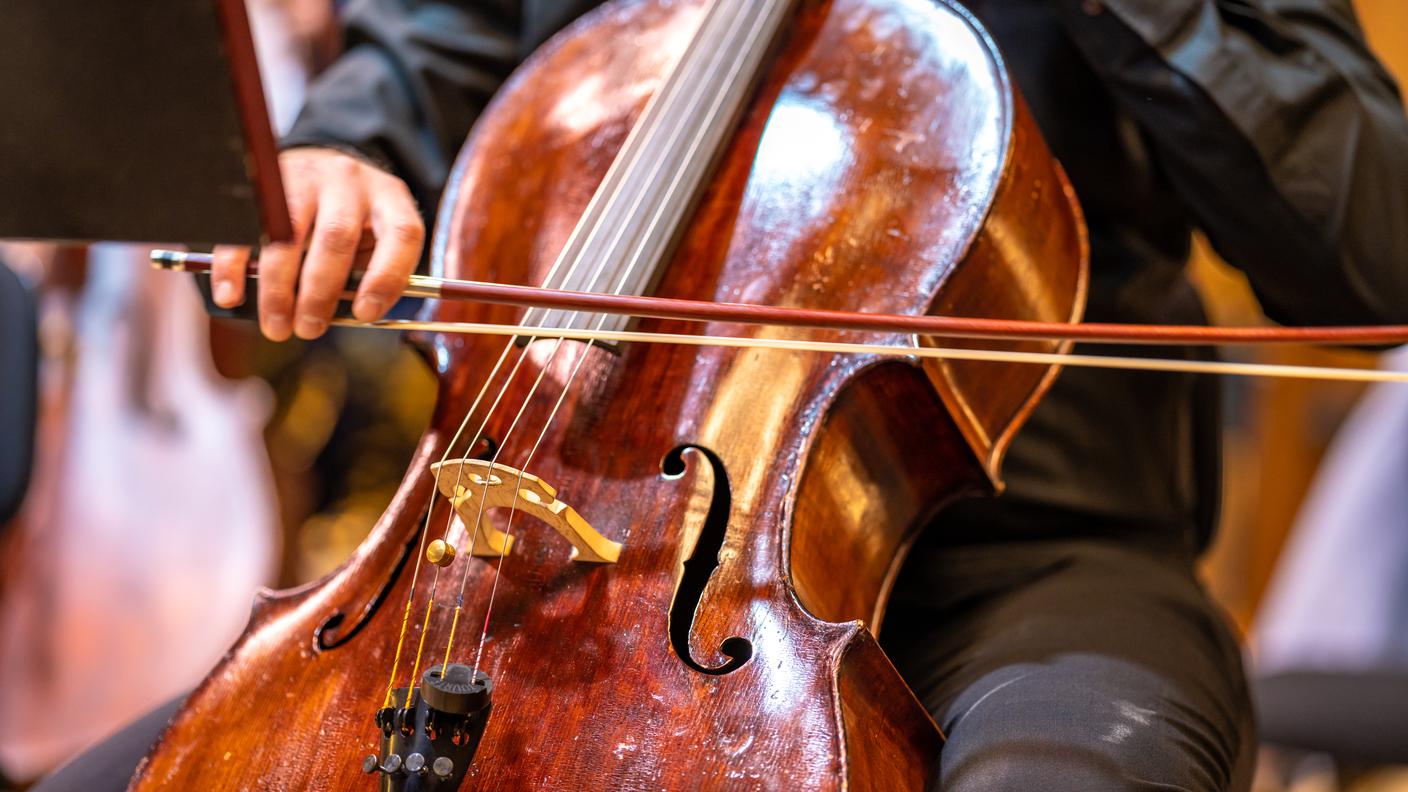 violoncello