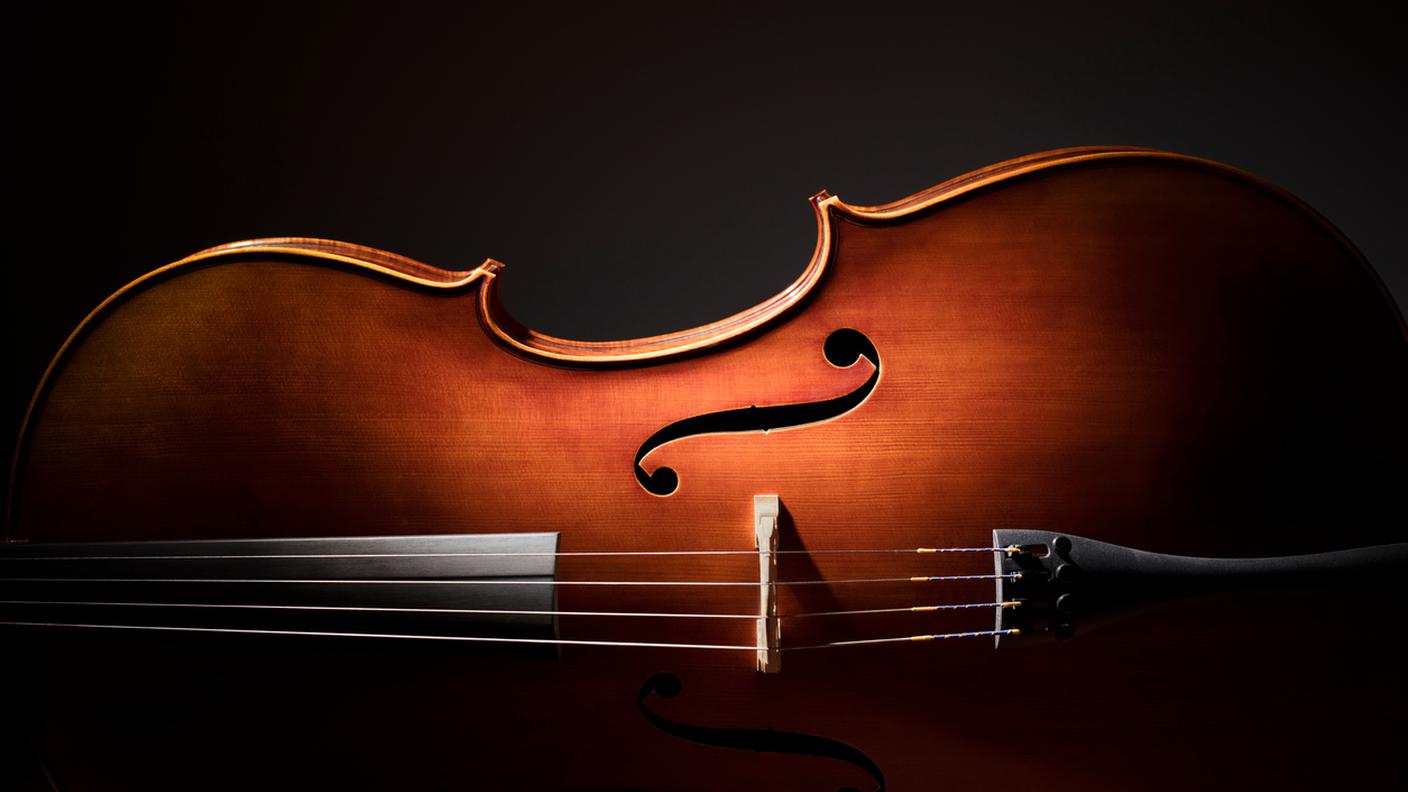 Violino