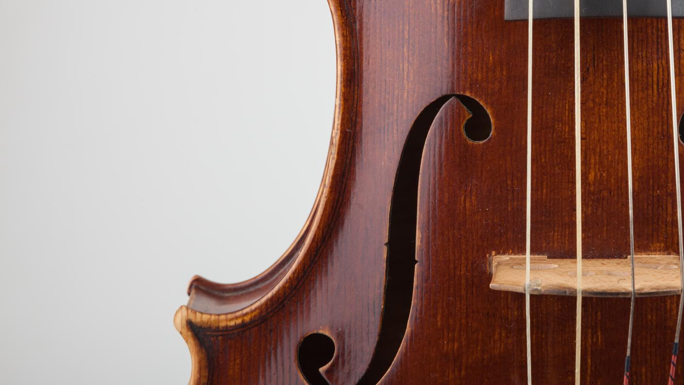 violino