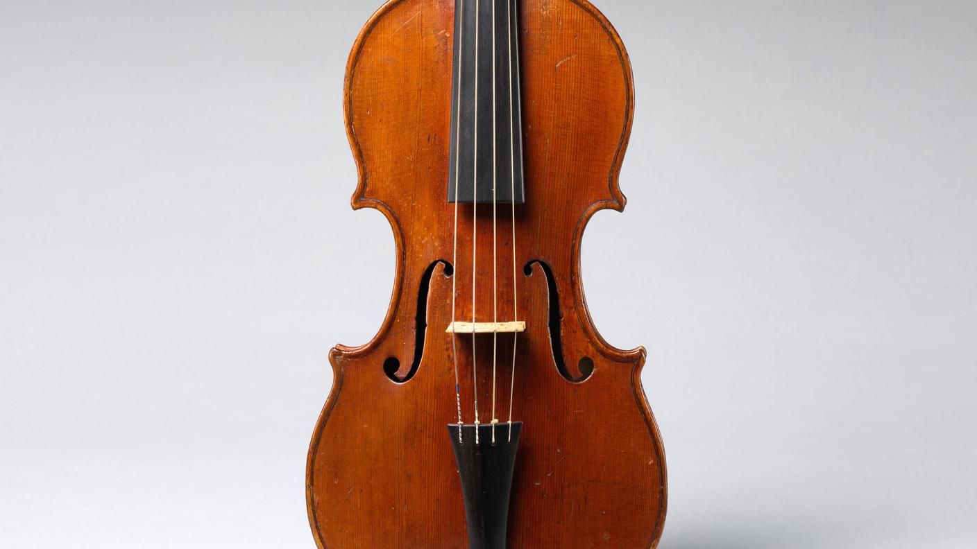 violino